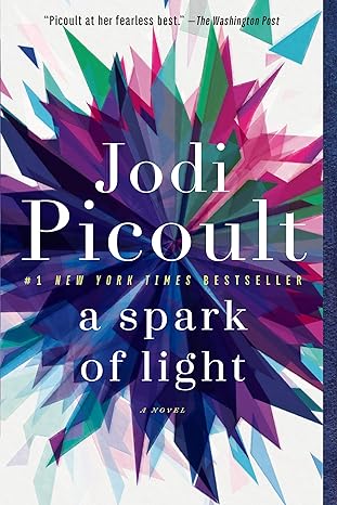 A Spark of Light: A Novel