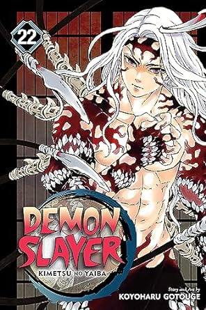 Demon Slayer: Kimetsu no Yaiba, Vol. 22: The Wheel Of Fate